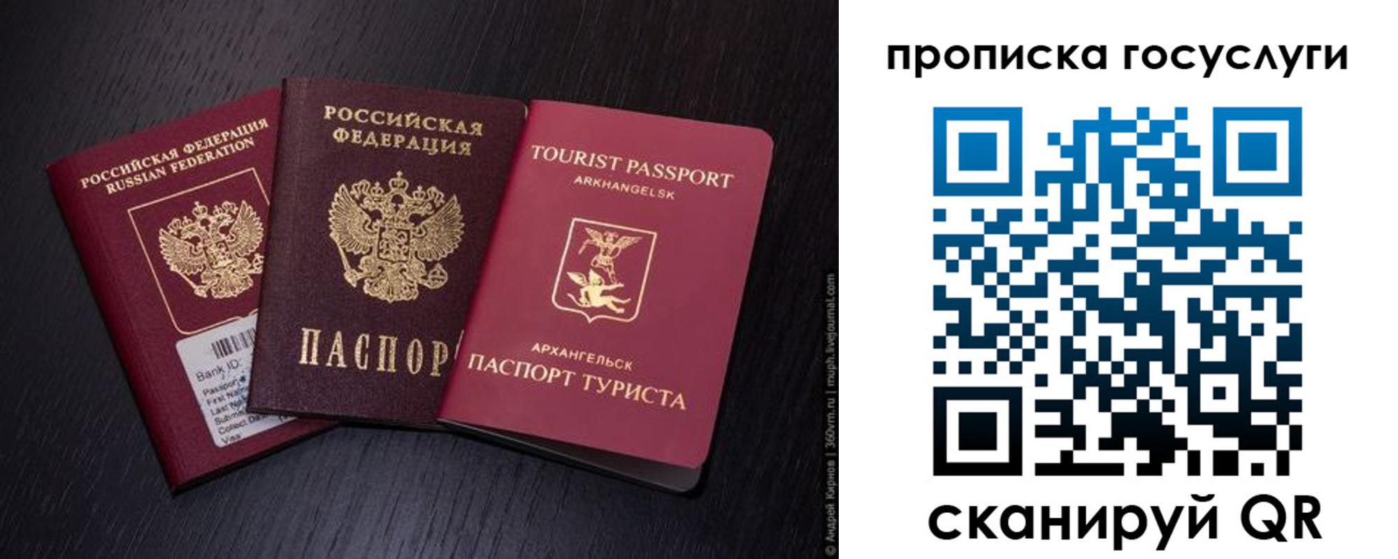 прописка 2025 в Красноармейске